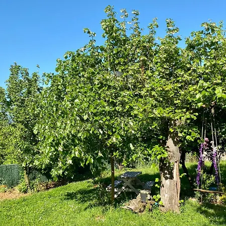 Masukiye Appartement