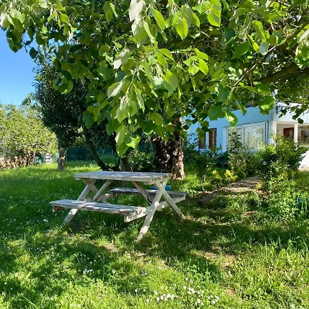 Masukiye * קארטפה